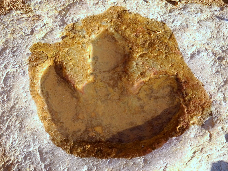 Buckghorn Draw Dinosaur Footprint