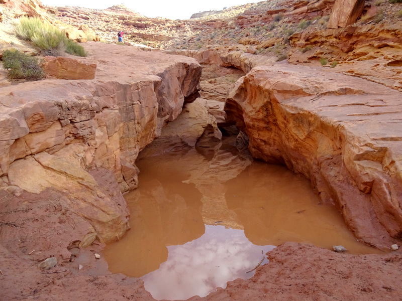 Little Wild Horse Canyon