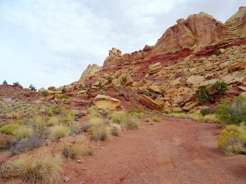 Beyond the Reef Road