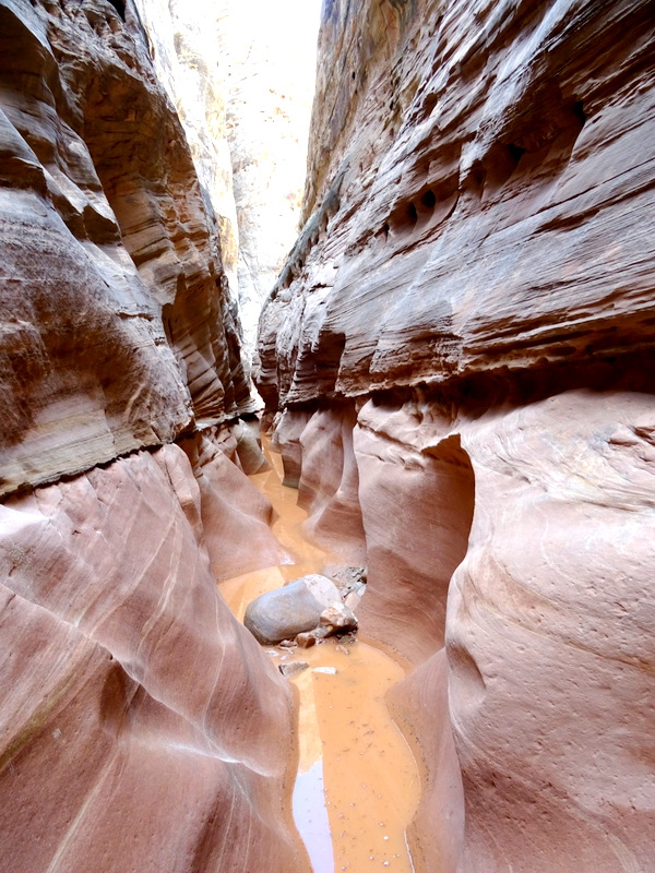 Little Wild Horse Canyon