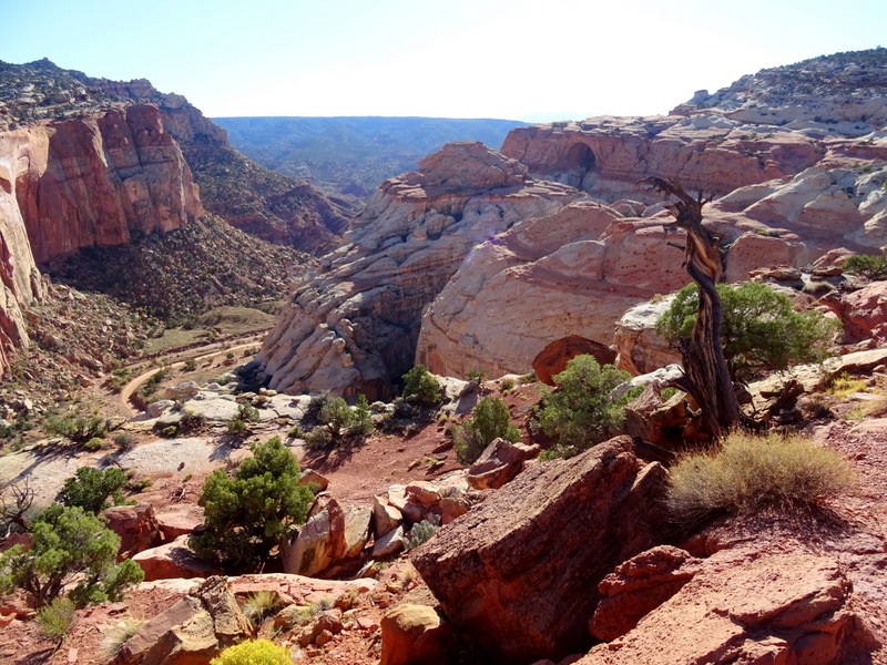 Cassidy Arch Trail - Capitol Reef National Park