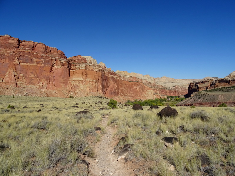 Capitol Reef National Park