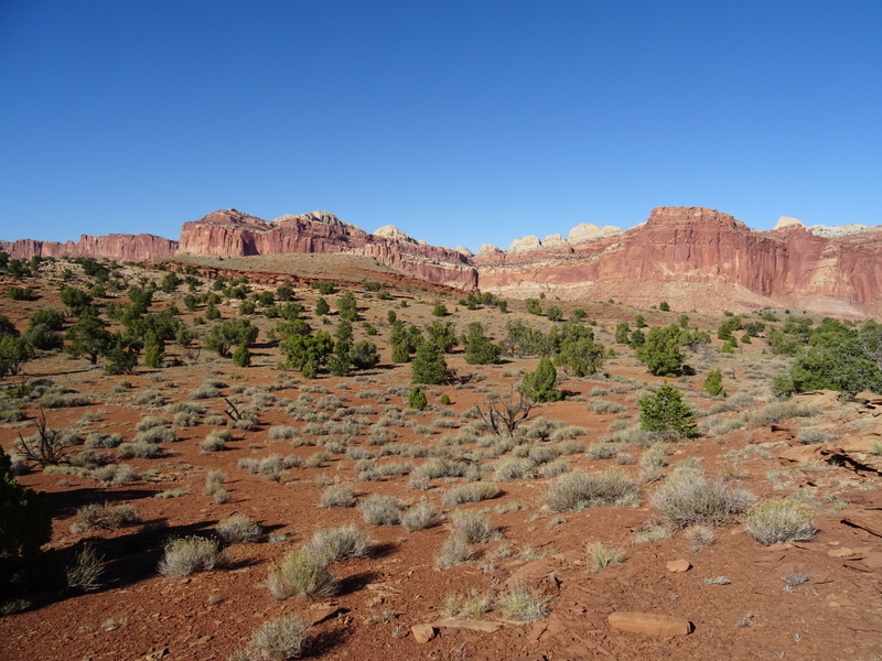 Capitol Reef National Park