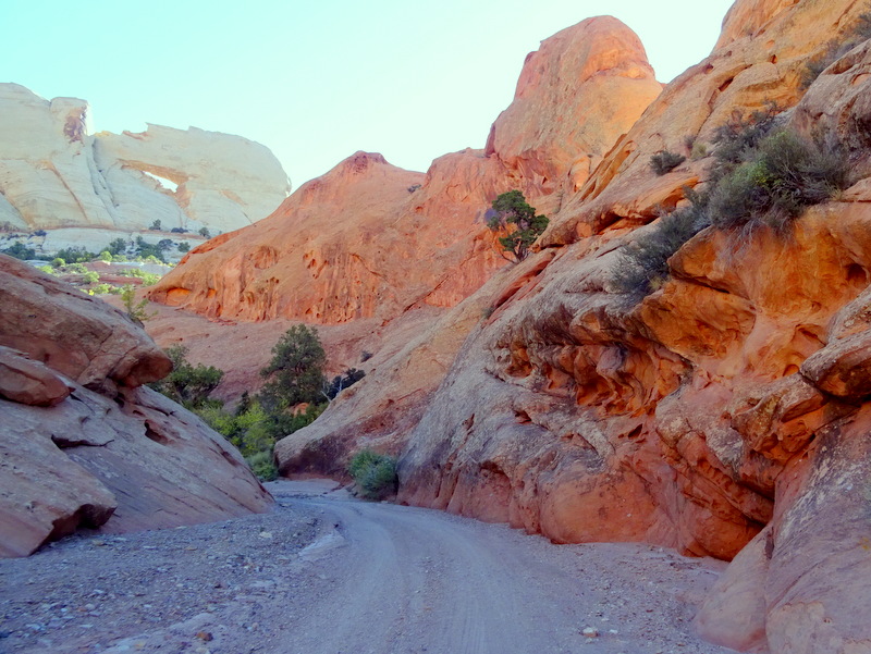 Upper Muley Twist Canyon Trail