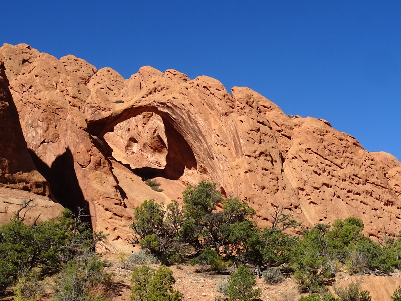 Upper Muley Twist Canyon Trail