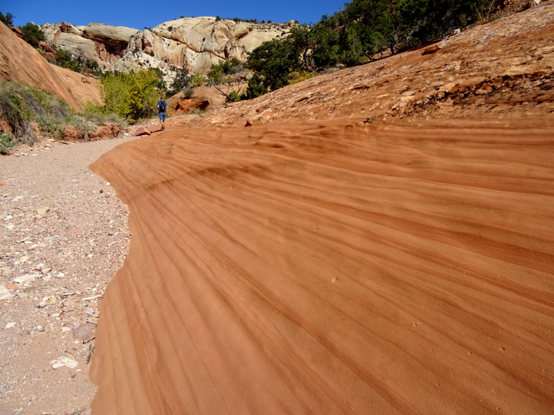 Upper Muley Twist Canyon Trail