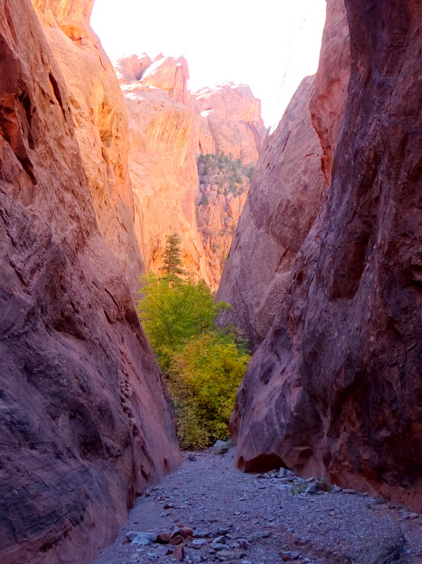 Upper Muley Twist Canyon Trail