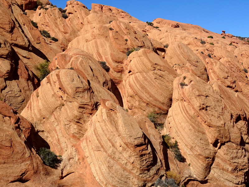 Upper Muley Twist Canyon Trail