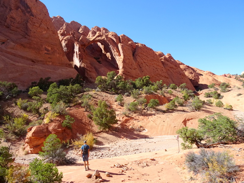 Upper Muley Twist Canyon Trail