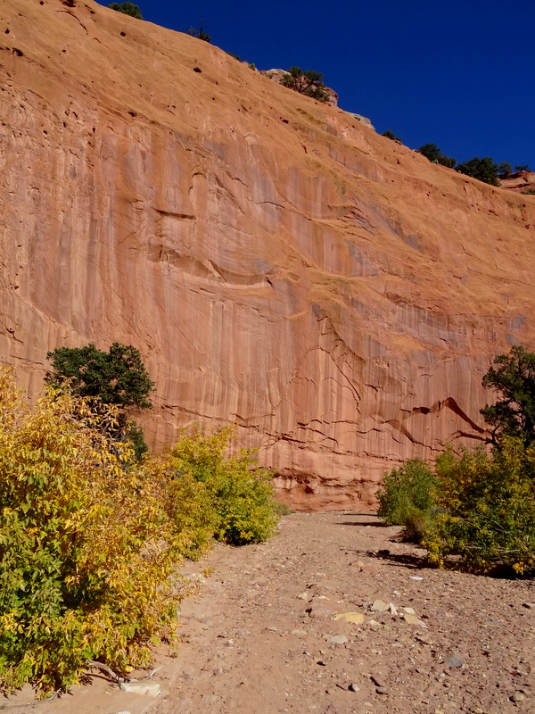 Upper Muley Twist Canyon Trail