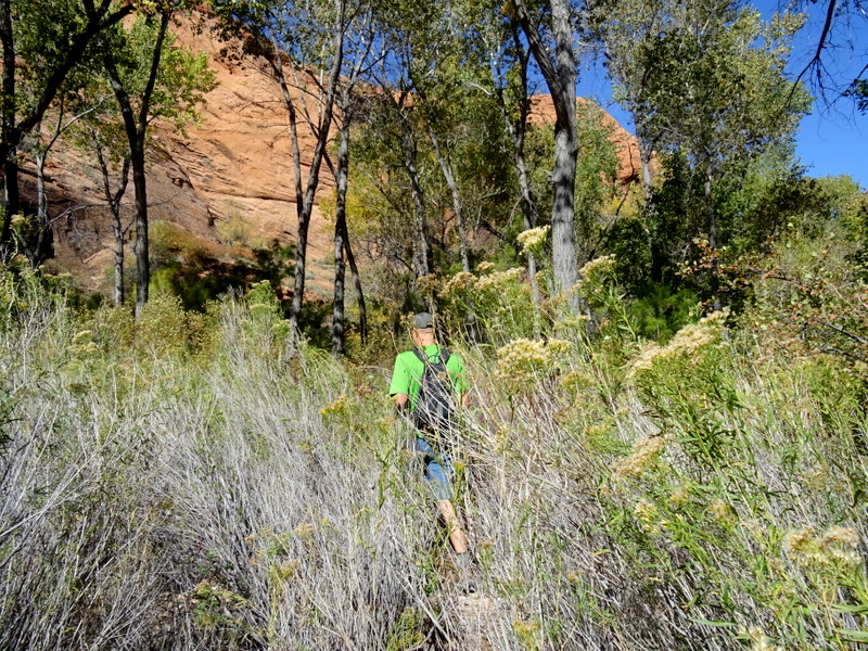 Phipps Arch Trail - Escalante, Utah