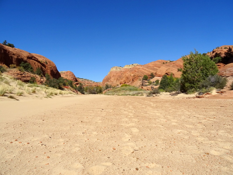 Phipps Arch Trail - Escalante, Utah