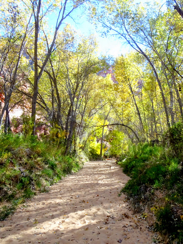 Phipps Arch Trail - Escalante, Utah