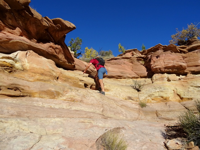 Phipps Arch Trail - Escalante, Utah