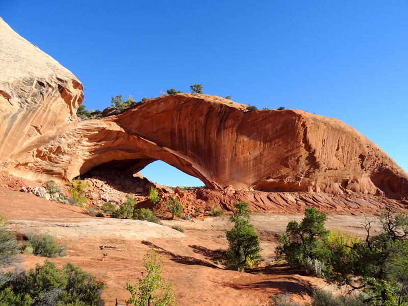 Phipps Arch Trail - Escalante, Utah