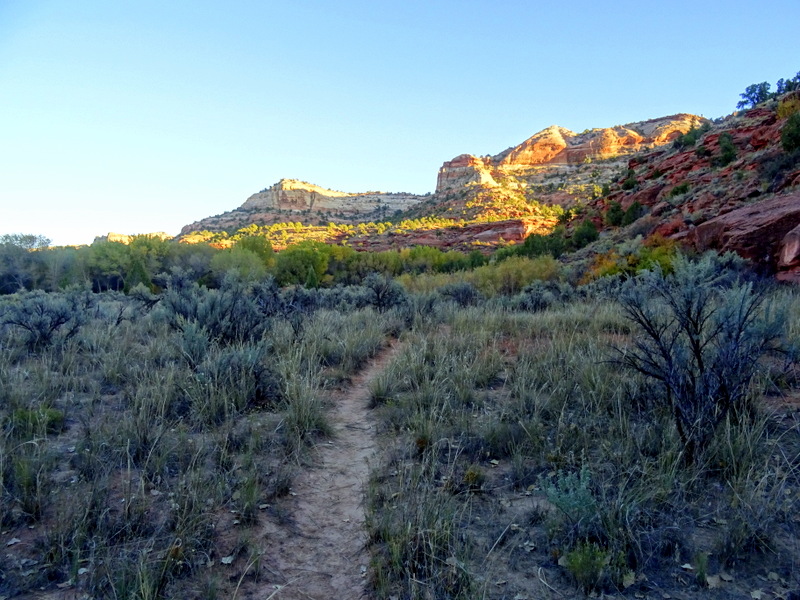 Phipps Arch Trail - Escalante, Utah