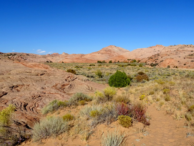 Escalante, Utah