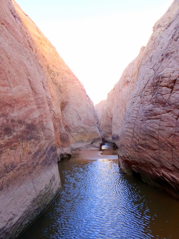 Zebra Slot Canyon - Escalante, Utah