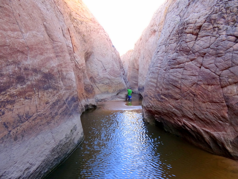 Zebra Slot Canyon - Escalante, Utah