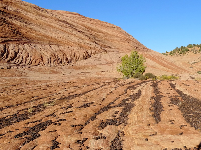 Moqui Marbles - Escalante, Utah