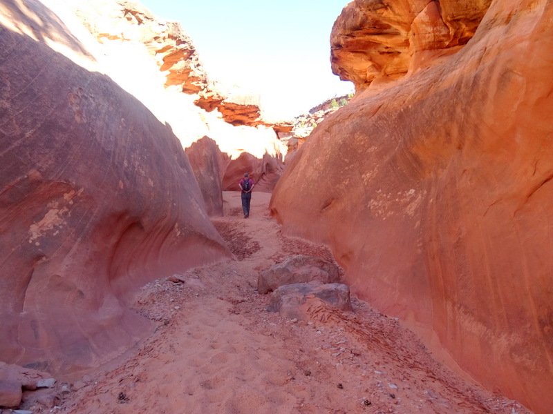 Red Breaks Slot Canyon, Utah