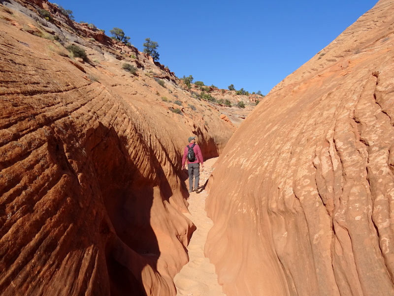 Red Breaks Slot Canyon, Utah