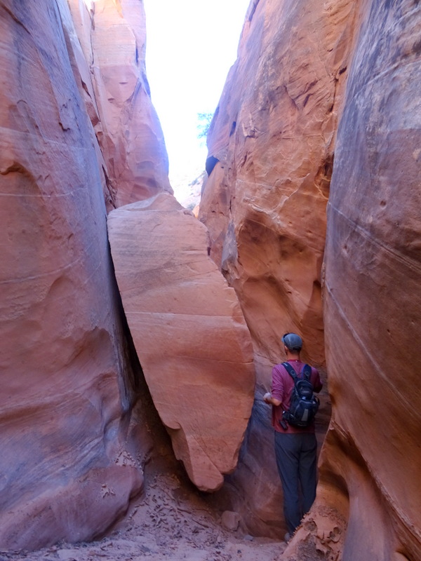 Red Breaks Slot Canyon, Utah