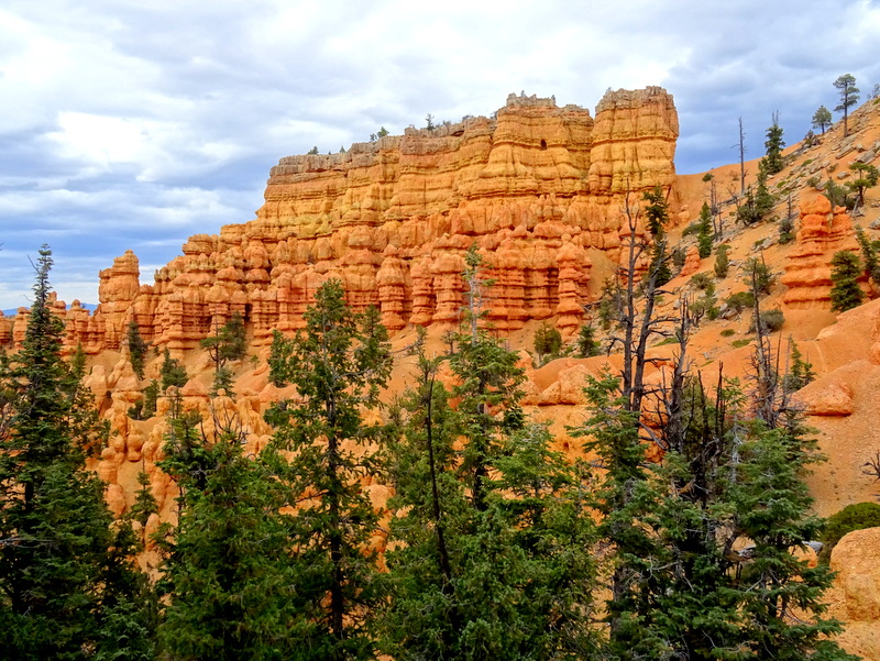 Red Canyon, Utah