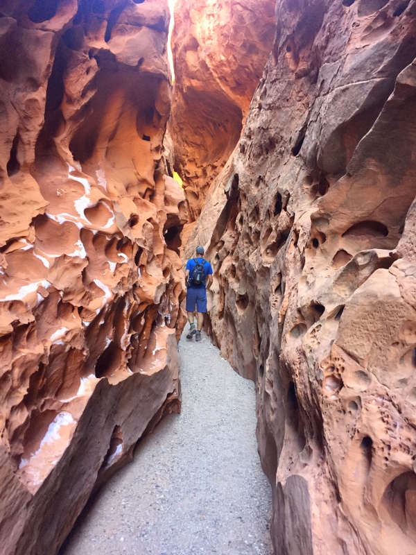 Upper Muley Twist Canyon Trail