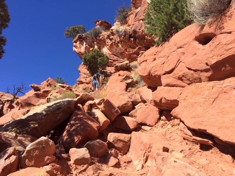 Upper Muley Twist Canyon Trail