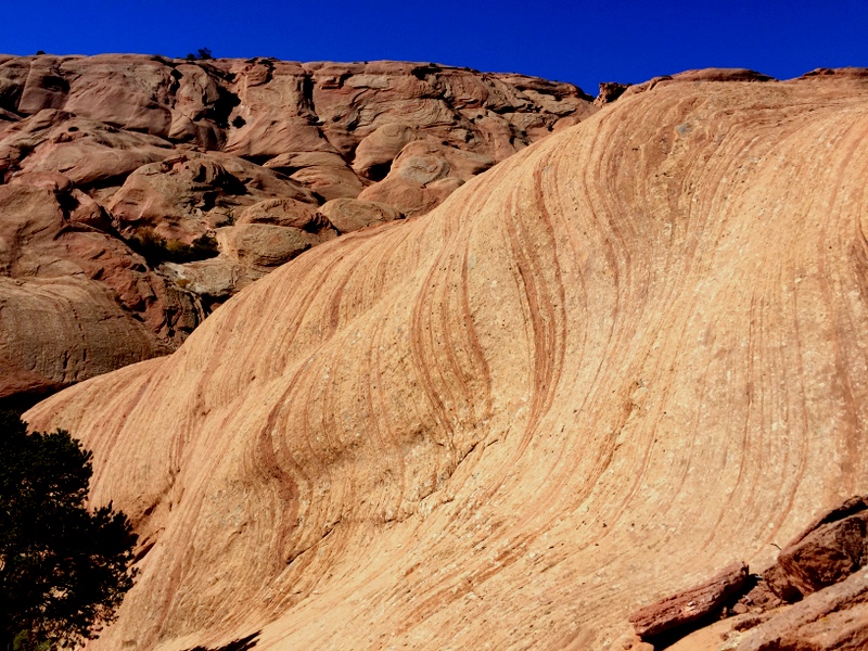 Upper Muley Twist Canyon Trail