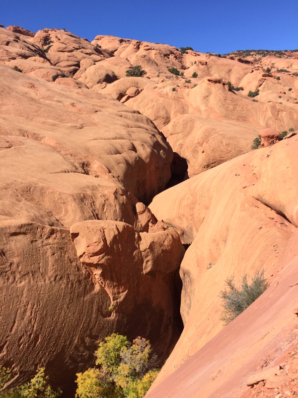 Upper Muley Twist Canyon Trail