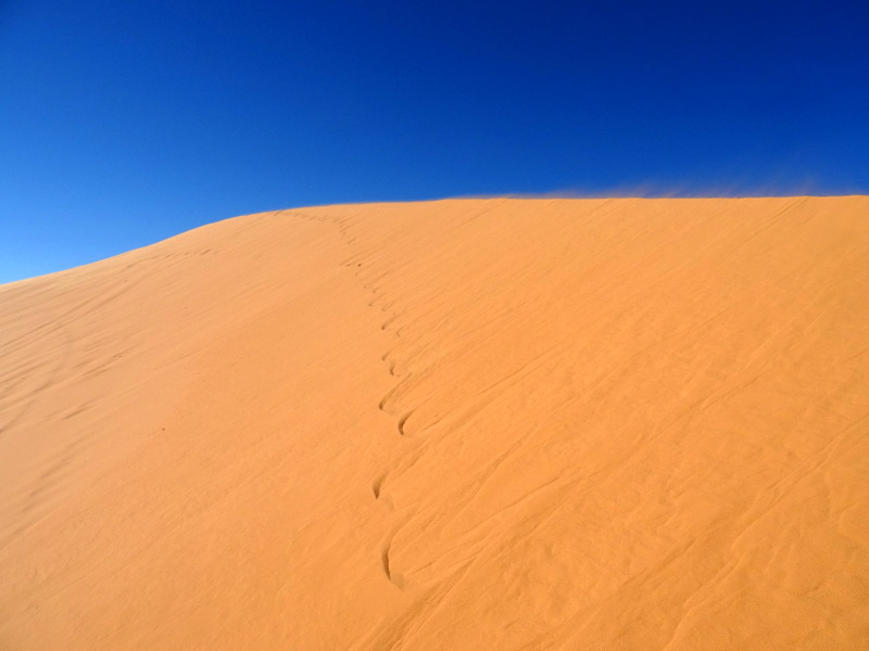 Pink Coral Sand Dunes State Park