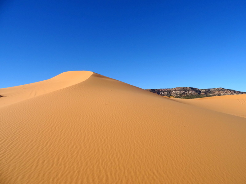 Pink Coral Sand Dunes State Park