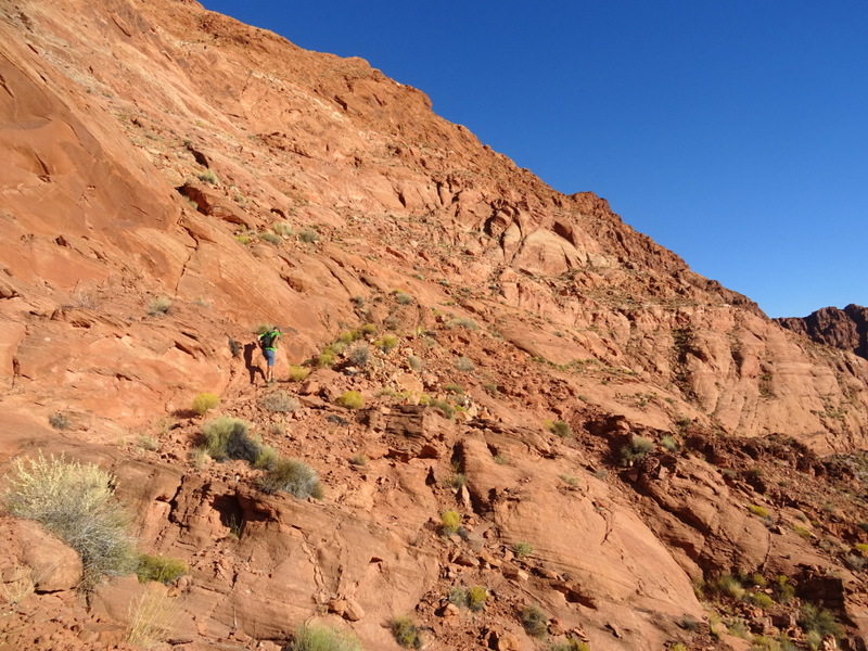 Spencer Trail - Lee's Ferry, AZ