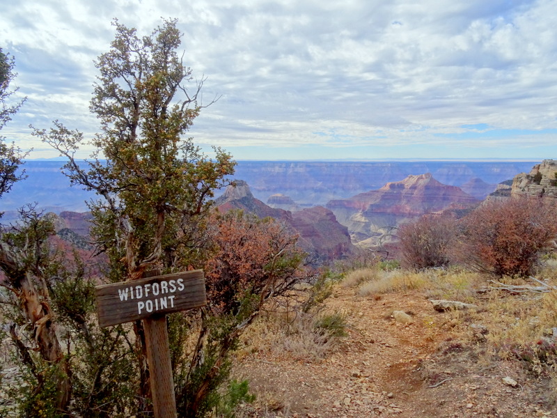 Widforss Trail, North Rim Grand Canyon