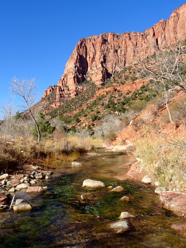 Kolab Canyon - Zion National Park