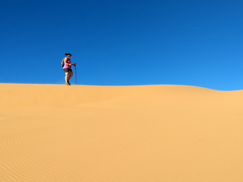 Pink Coral Sand Dunes State Park