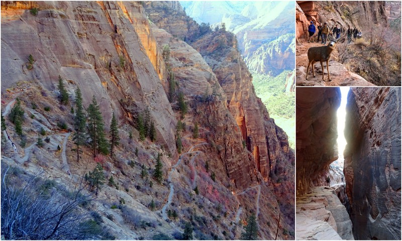 Observation Point Trail - Zion National Parl