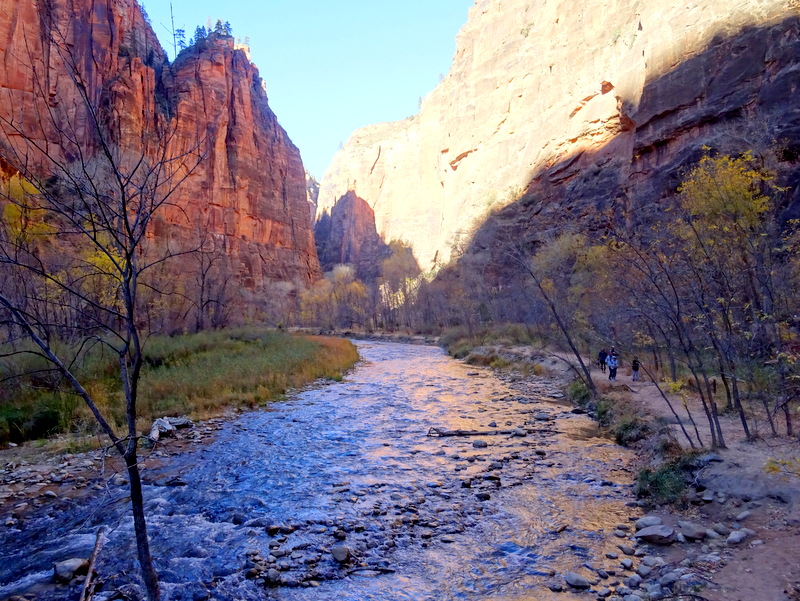 Zion River Walk