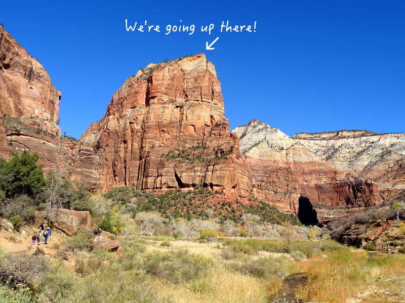 Observation Point Trail - Zion National Parl