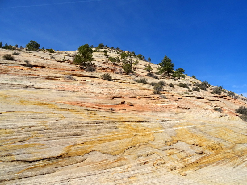 Zion National Park East Side