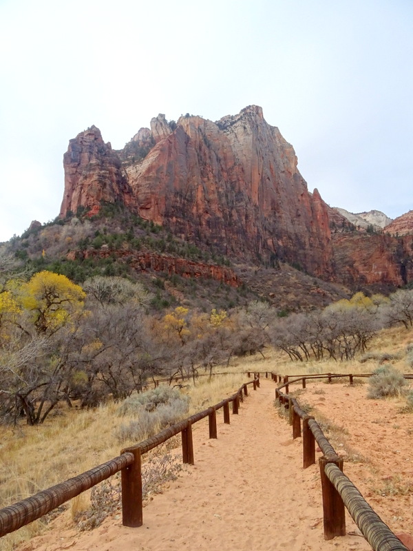 Sand Bluff Trail - Zion National Park