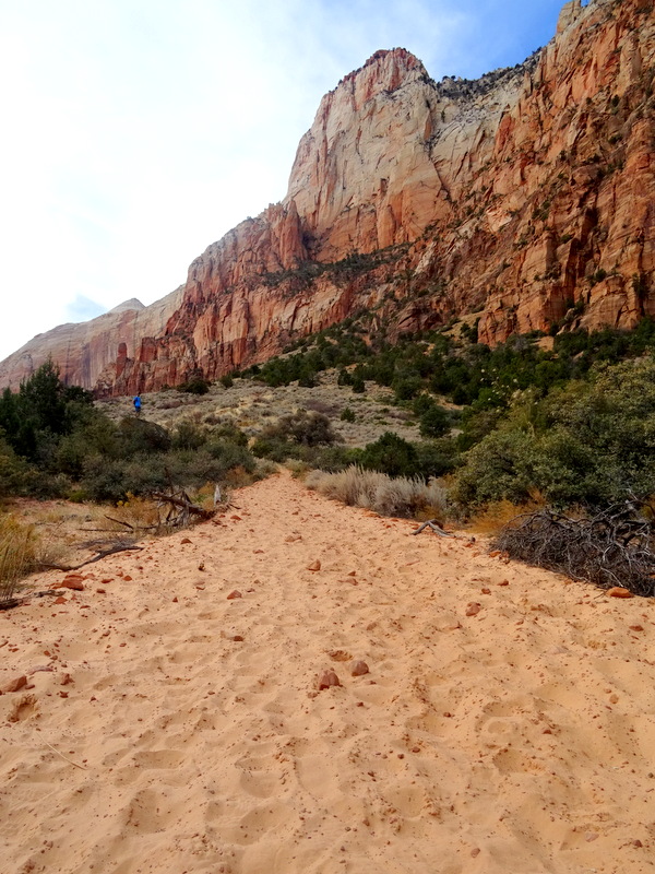 Sand Bluff Trail - Zion National Park