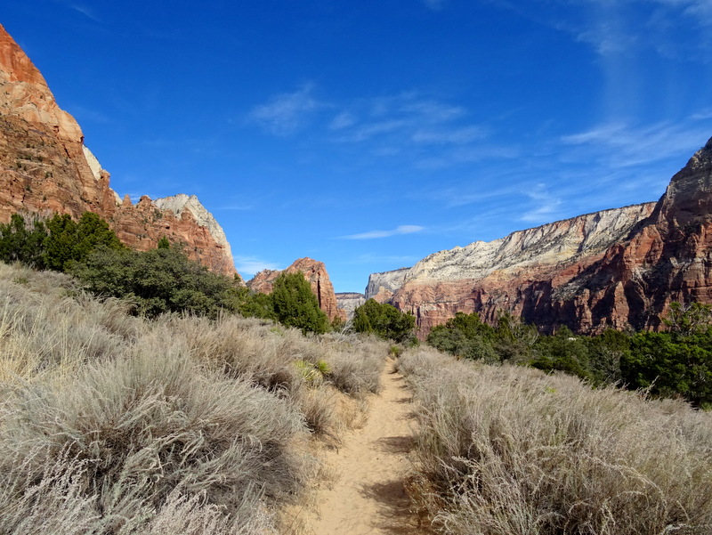 Sand Bluff Trail - Zion National Park