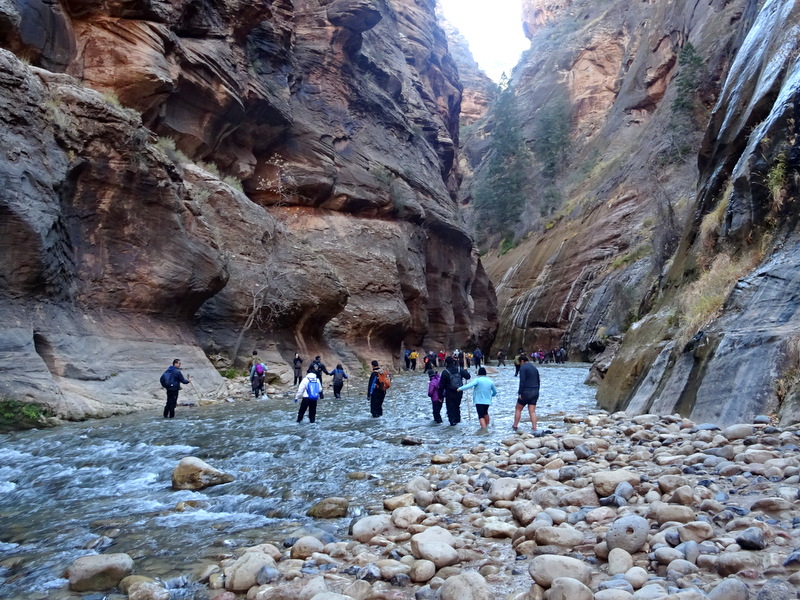 Zion Narrows Hike