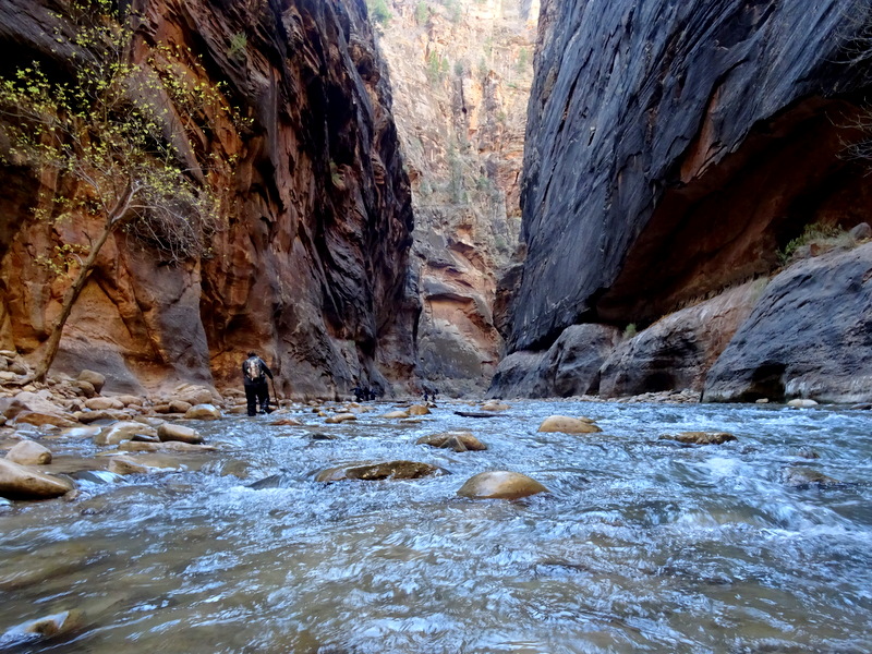 Zion Narrows Hike