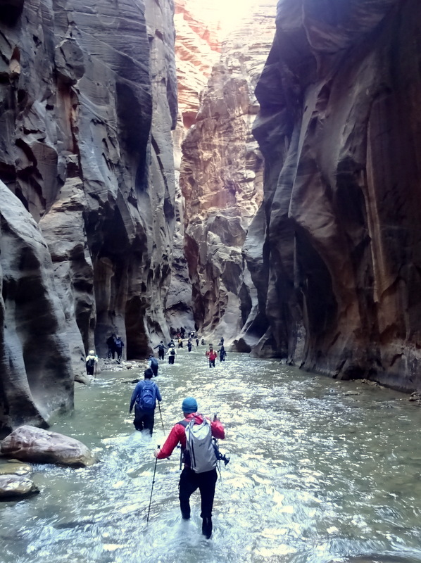 Zion Narrows Hike