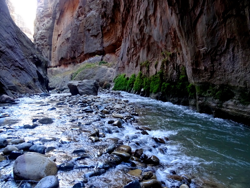 Zion Narrows Hike