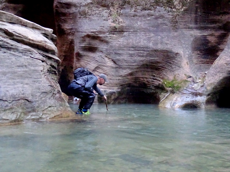 Zion Narrows Hike